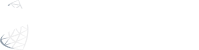 microsoft-sql-server